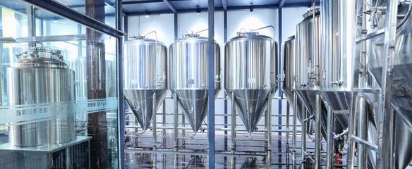 金鯊啤酒設(shè)備 匠心工藝賦能，共促釀酒行業(yè)共贏發(fā)展